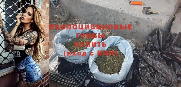 прущая мука Алзамай