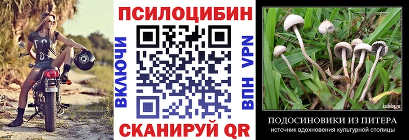 Псилоцибиновые грибы Psilocybe Десногорск