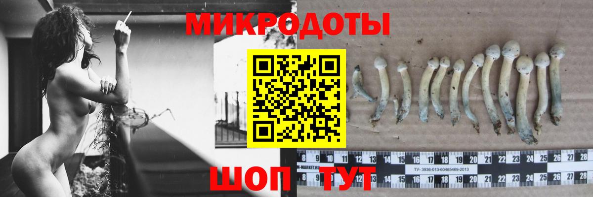 Псилоцибиновые грибы GOLDEN TEACHER  Вход с VPN  Десногорск  Галлюциногенные грибы ЛСД 