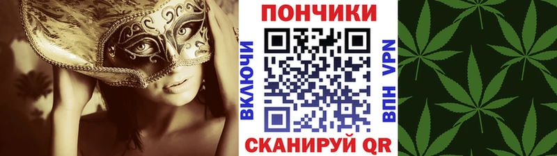 Канабис ГИДРОПОН  купить закладку  ссылка на мегу зеркало  Десногорск 